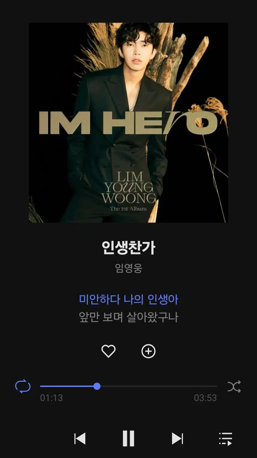 영웅님 인생찬가 노래 들어요 