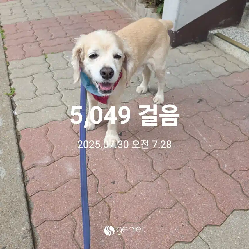 수요일 아침 