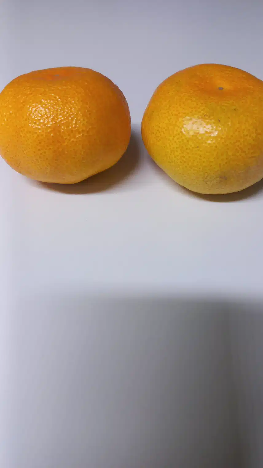 점심 먹고 입이 심심해서