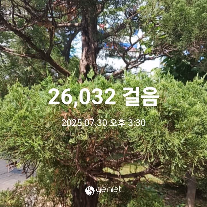 오후 운동 