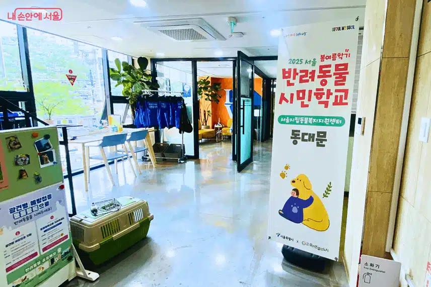 '새 가족을 기다린다멍!' 반려동물이 행복해지는 이 곳
