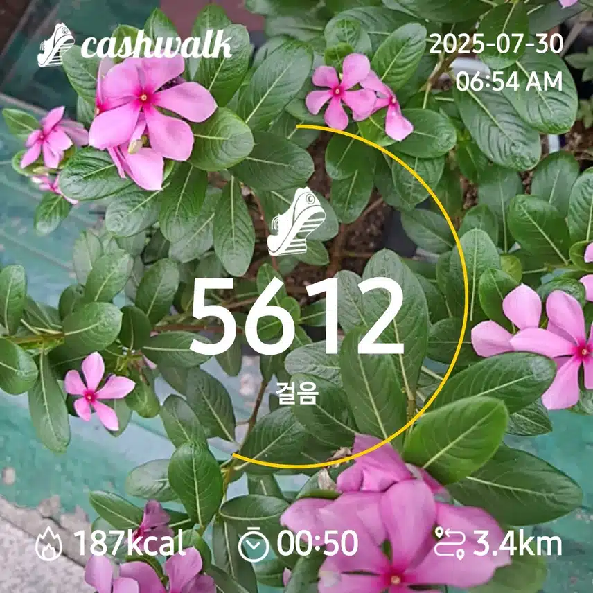 5000보 걷기