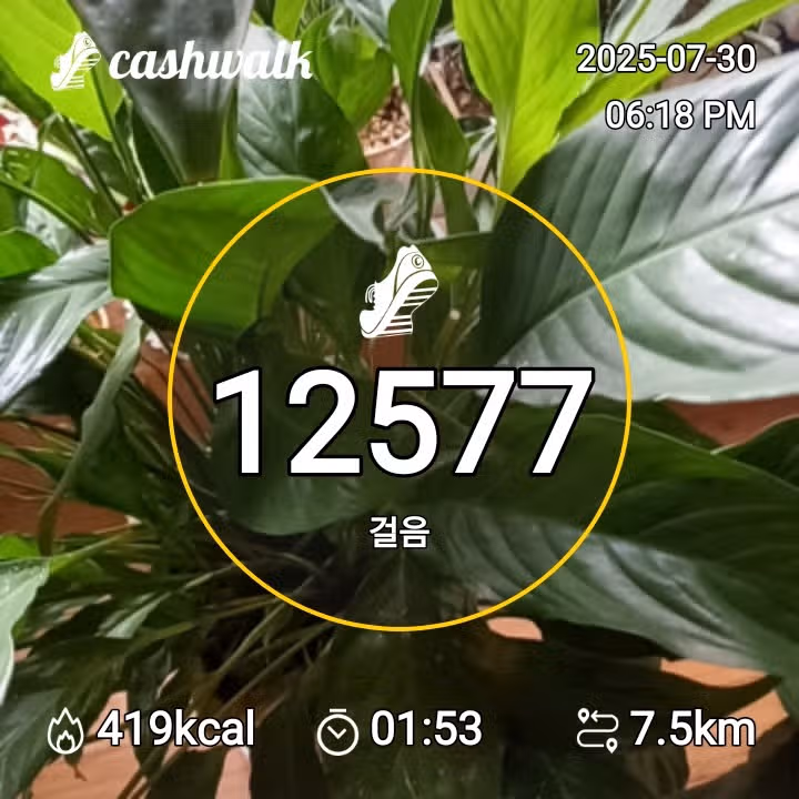 인증