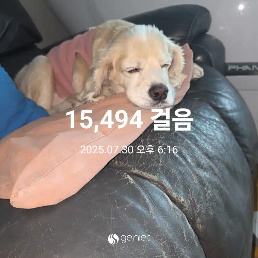 수요일 마무리