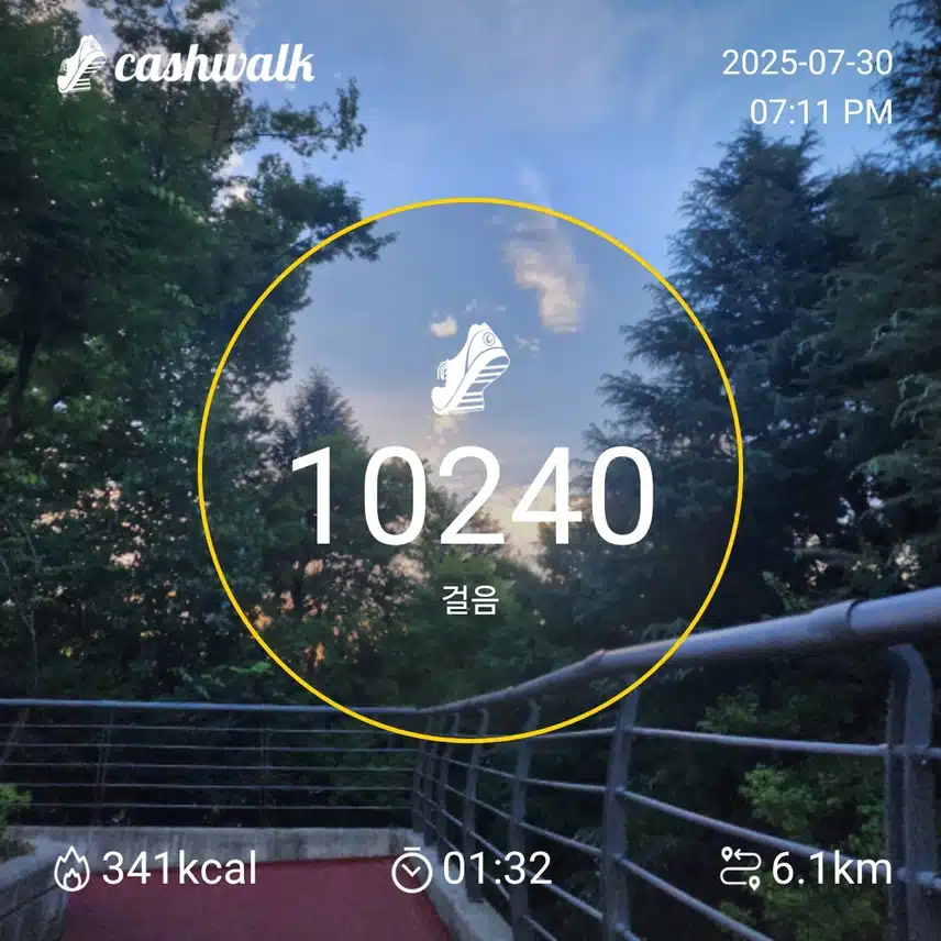 인증