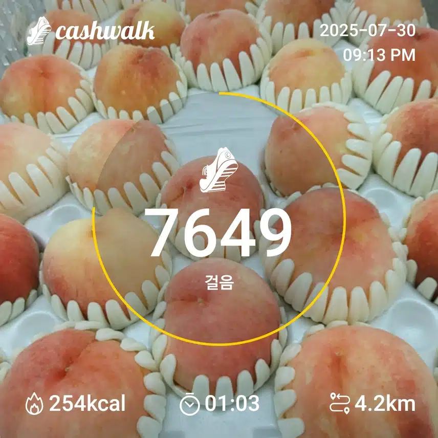 걷기 