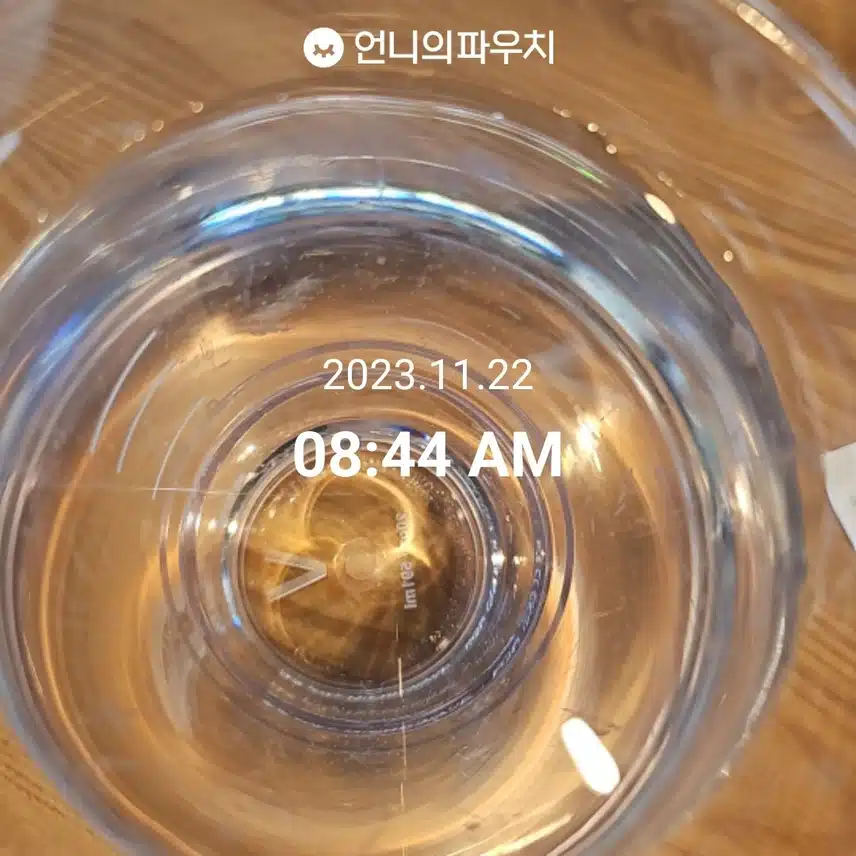 11월 22일  물  