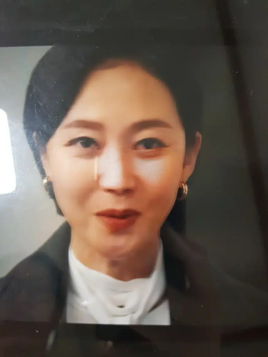염정아님