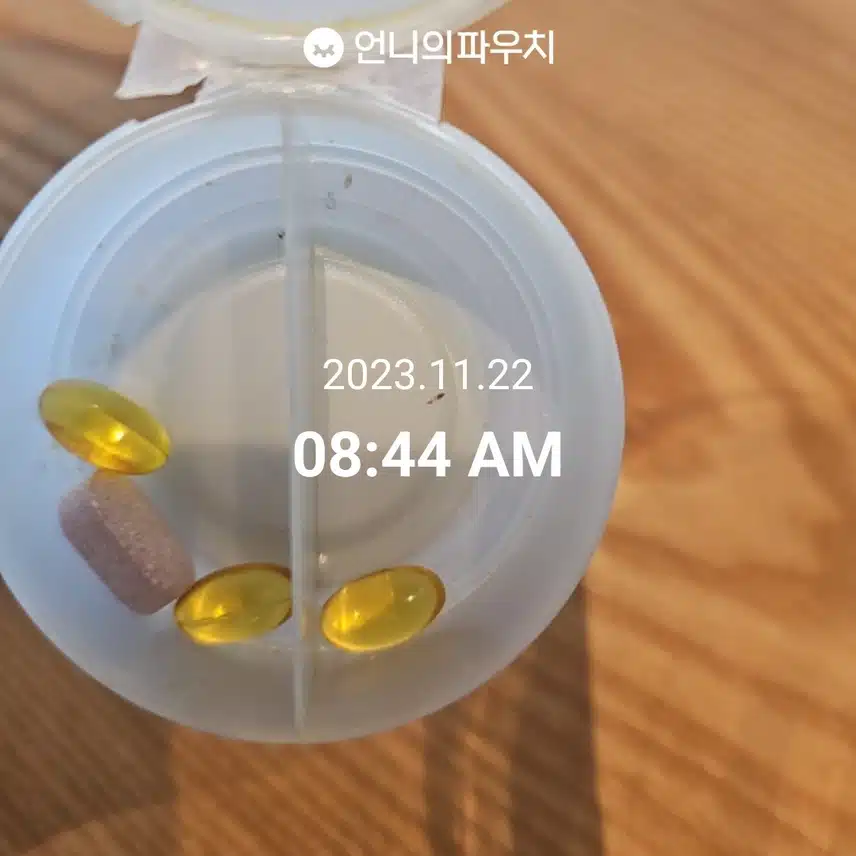 11월 22일 영양제
