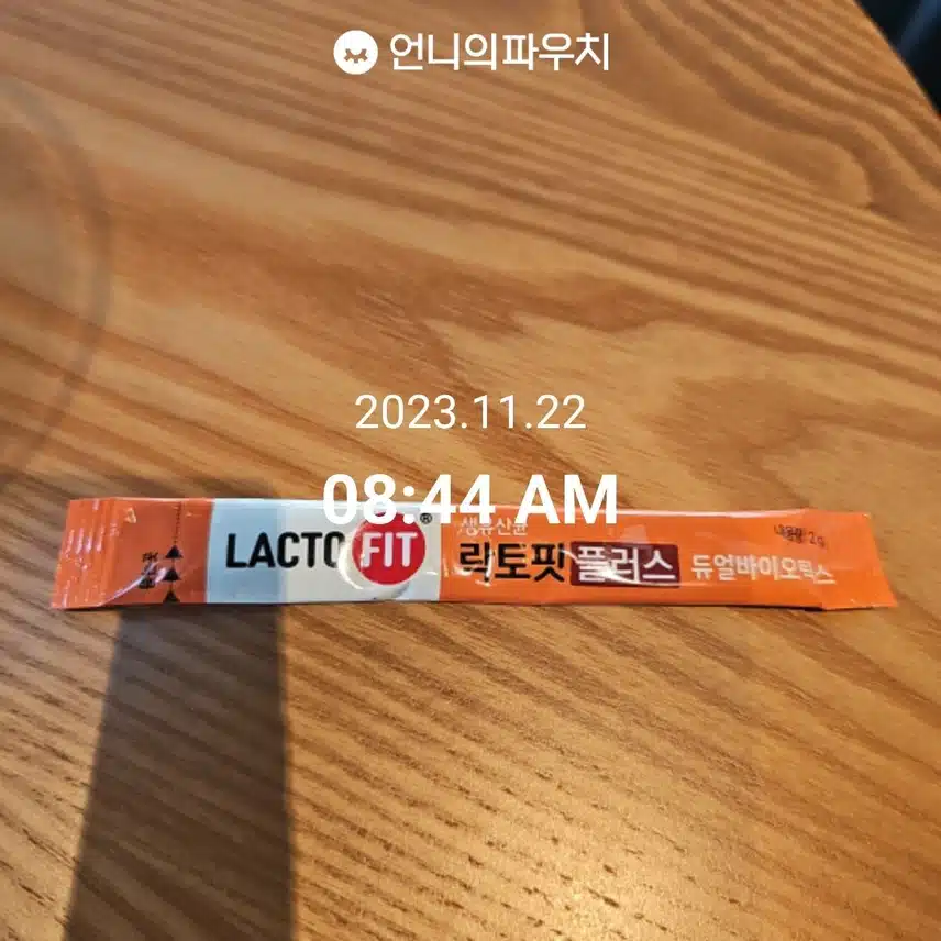 11월 22일  유산균