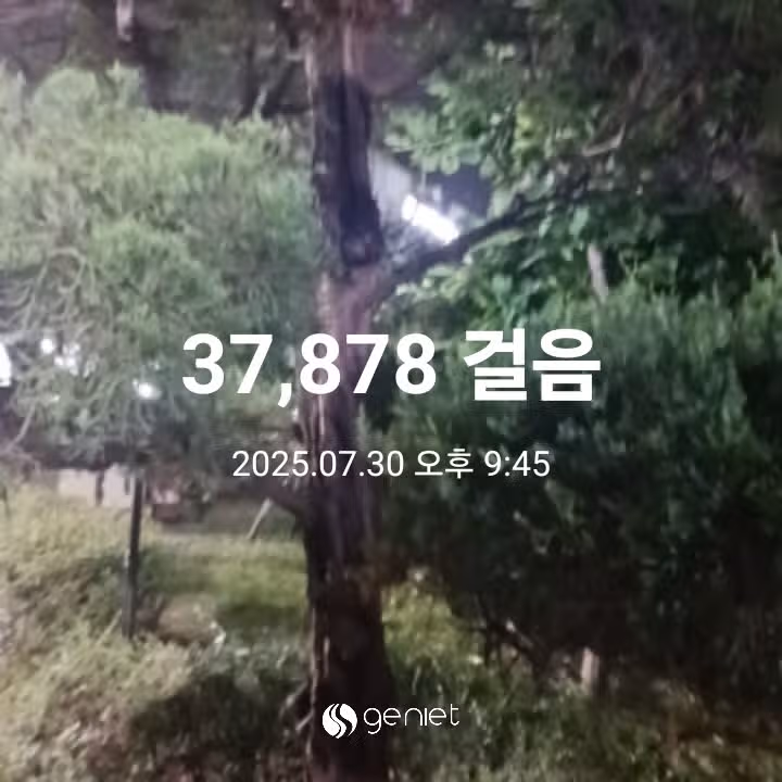 삼만보 걷기 