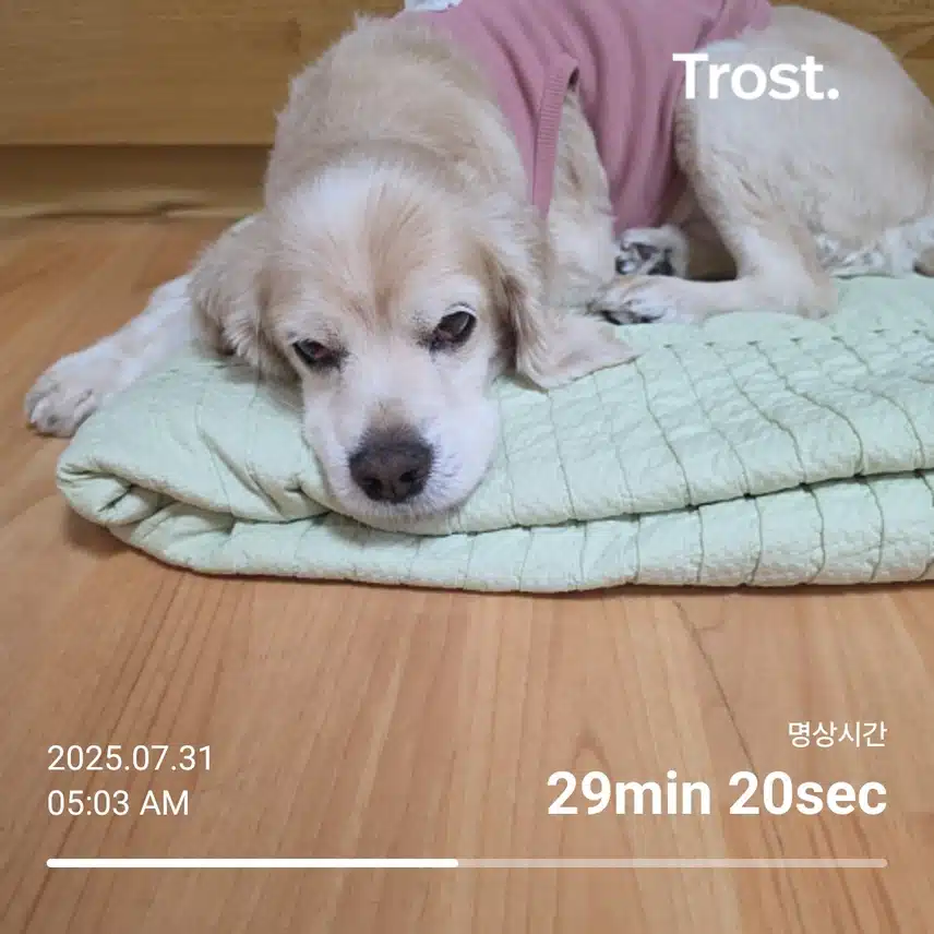 목요일 아침 