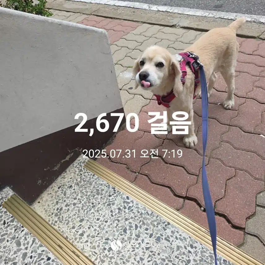 목요일 아침 