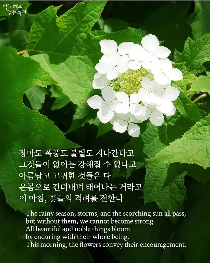 The scorching sun will pass, too.