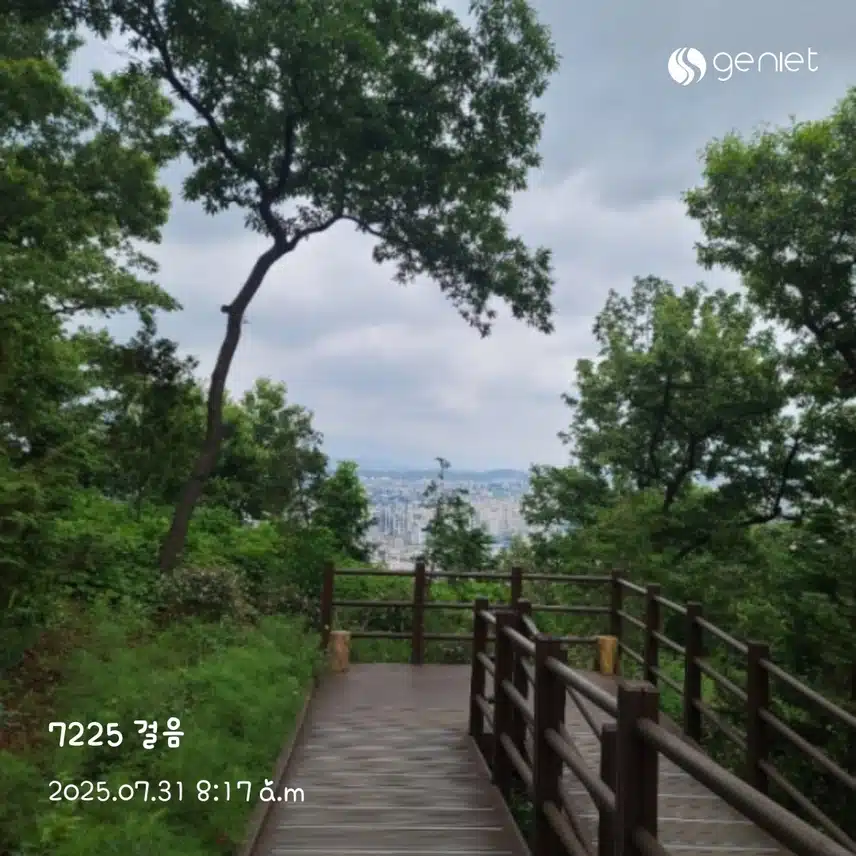 아침 산책으로🏃‍♀️