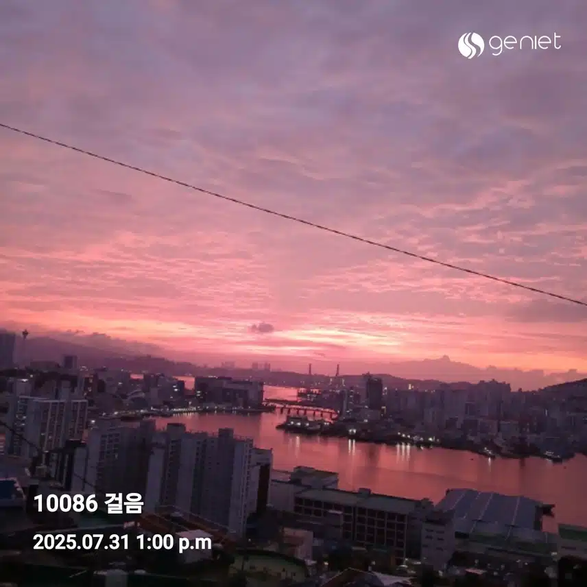 만보와홈트