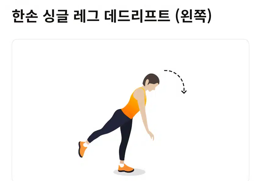 근력 홈트🏋‍♀️