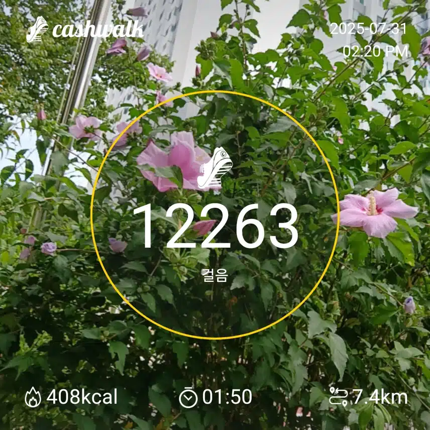 인증 