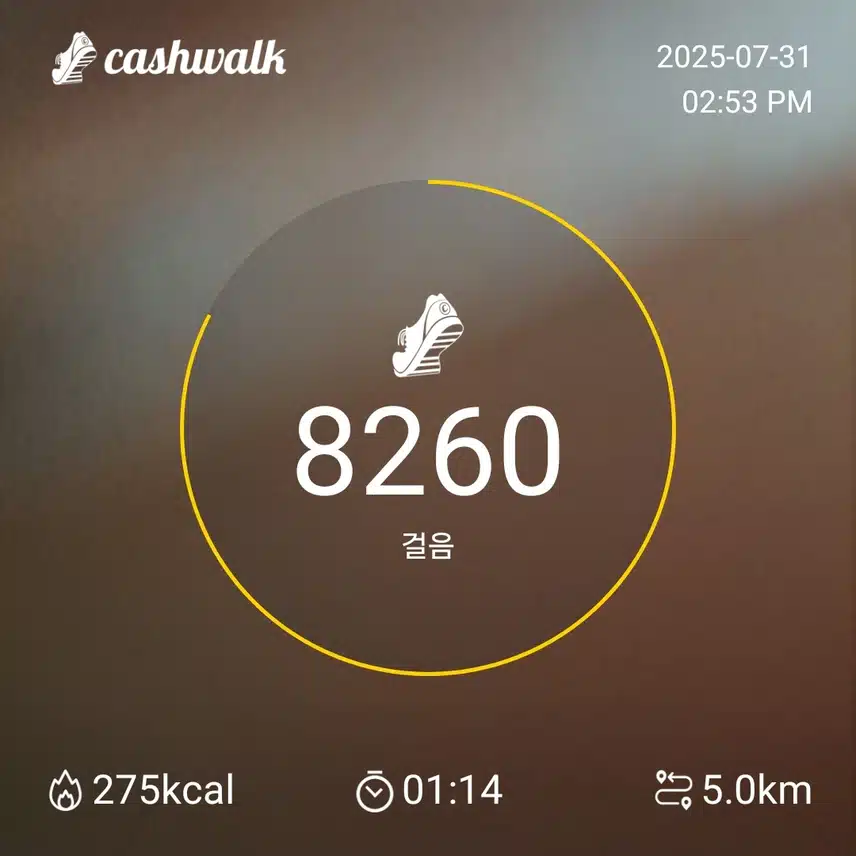 인증 
