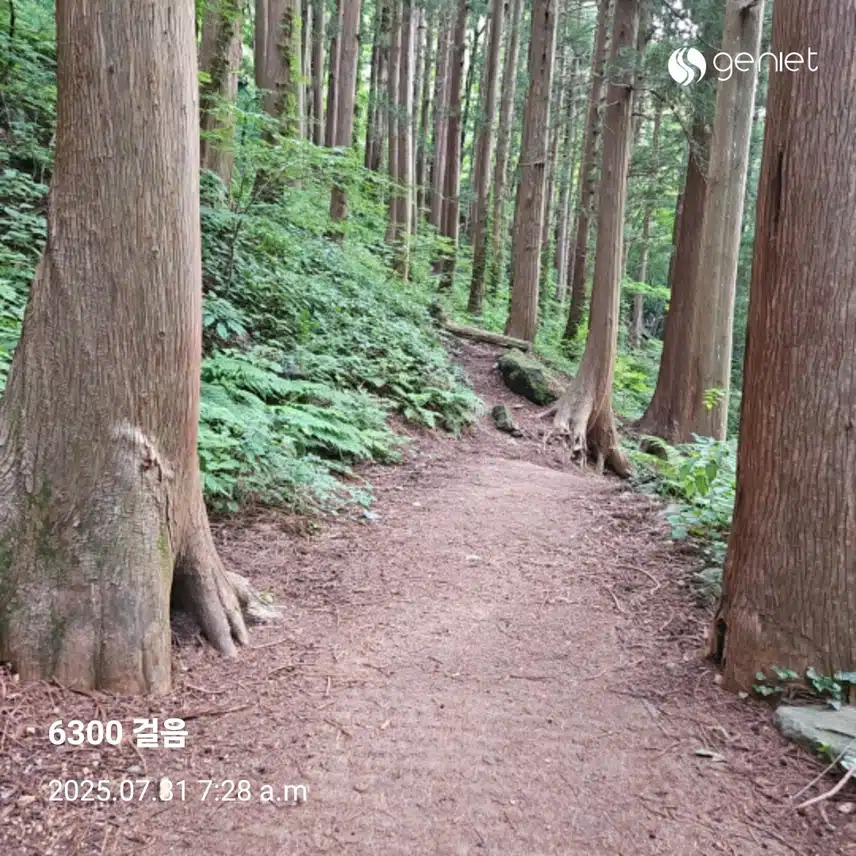 아침 산책으로 🏃 