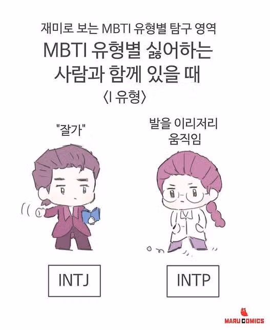 INTP가 싫어하는 사람은? (인간혐오, 손절, 인간관계 스타일)
