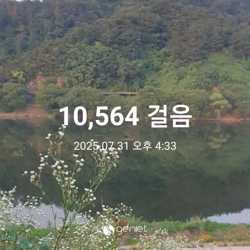 산 그림자