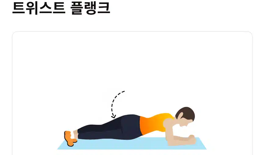플랭크 홈트