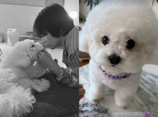 L'attrice Hye-kyo certifica la collana a forma di cane che ha ricevuto in regalo