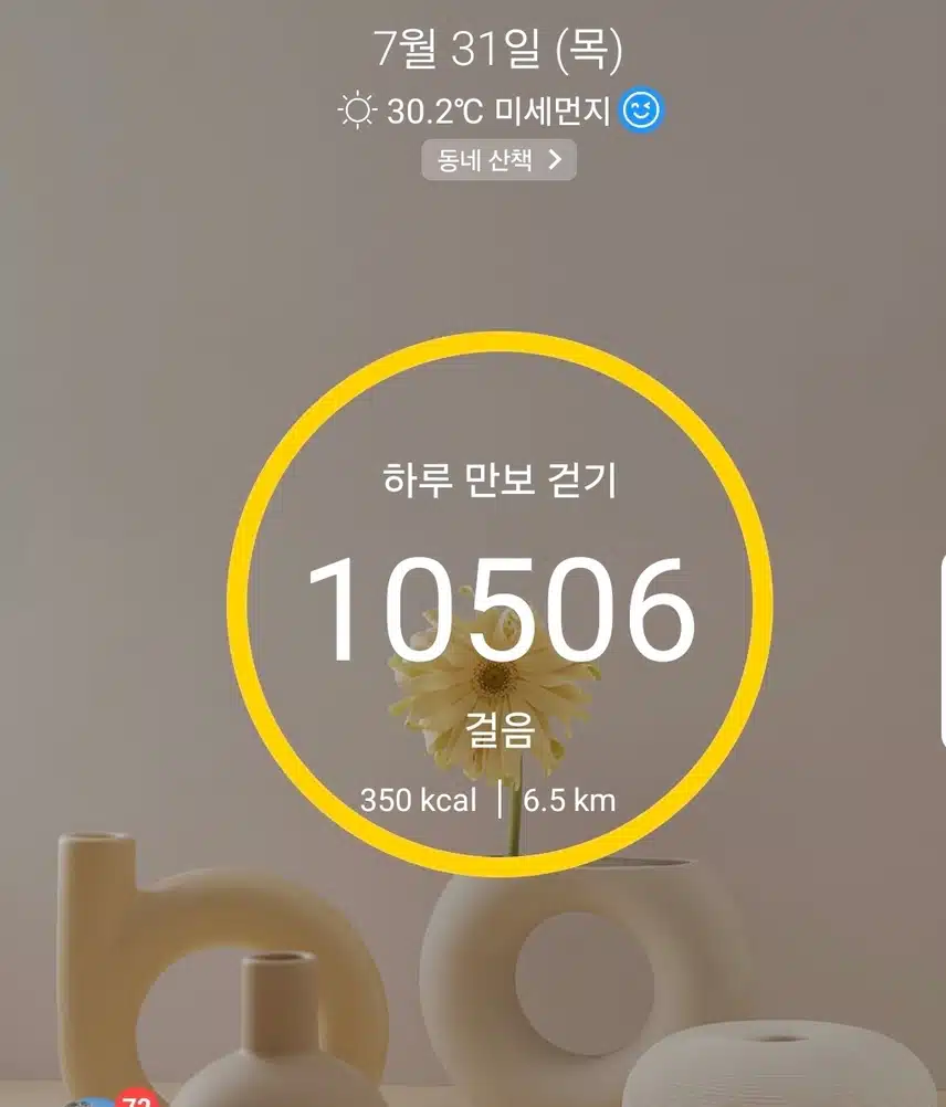 1만보 걷기 운동