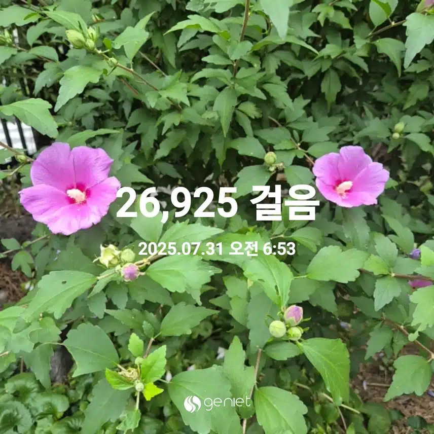 7월 마지막날 걷기 