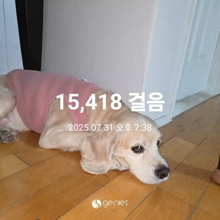 목요일 마무리 