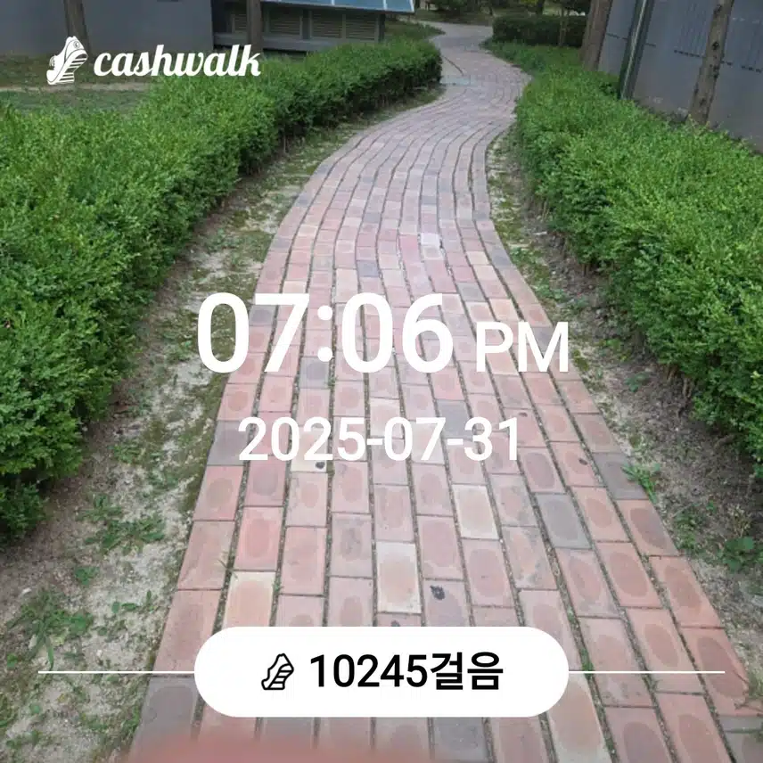 오늘도 만보를....