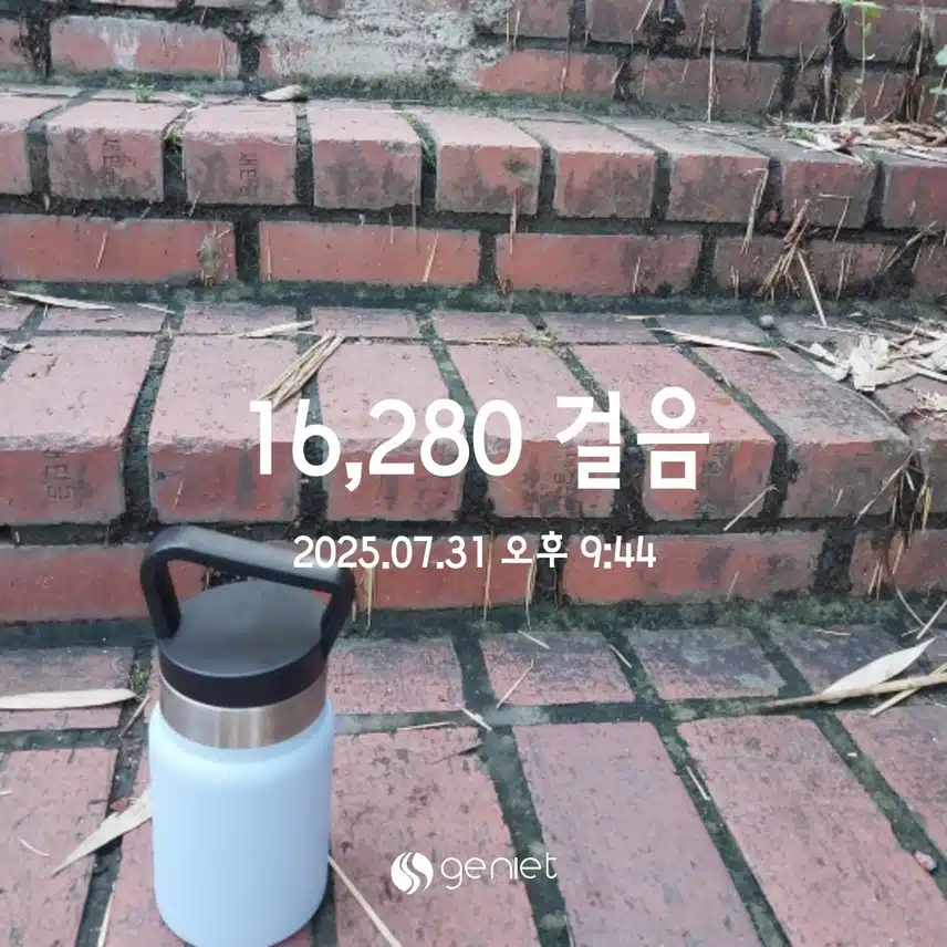 만보걷기 