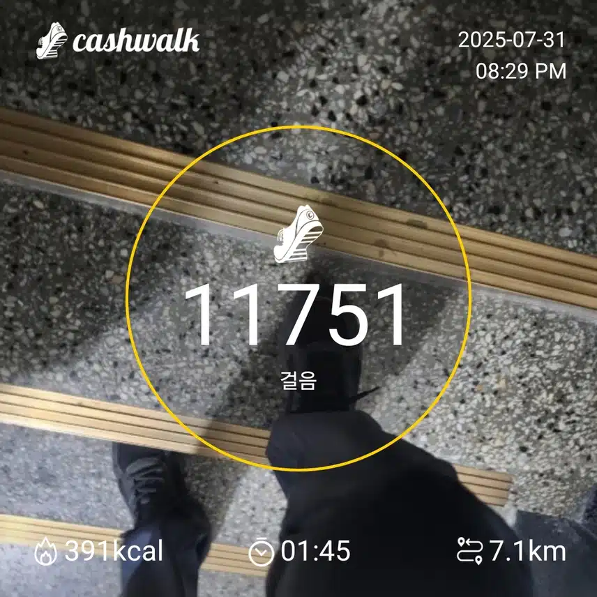 인증