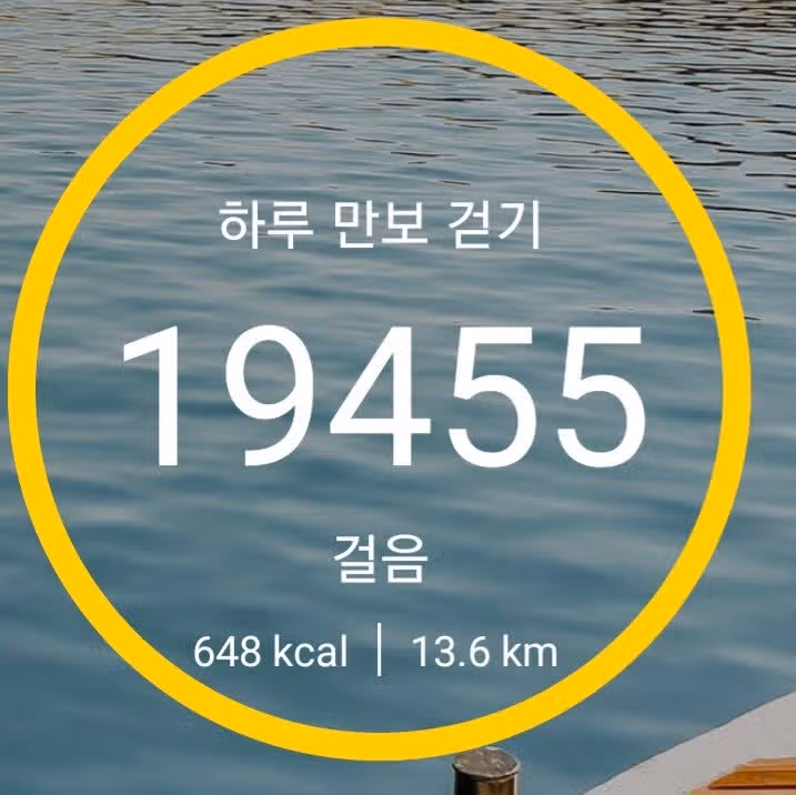 미션솬료