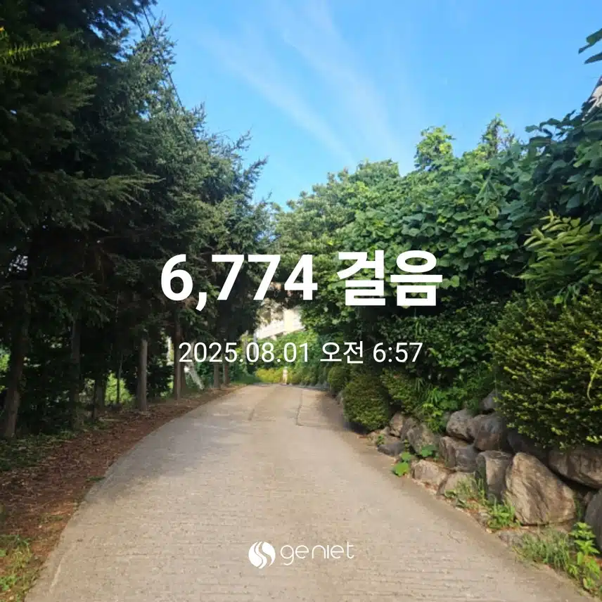 식후 산책으로 🏃