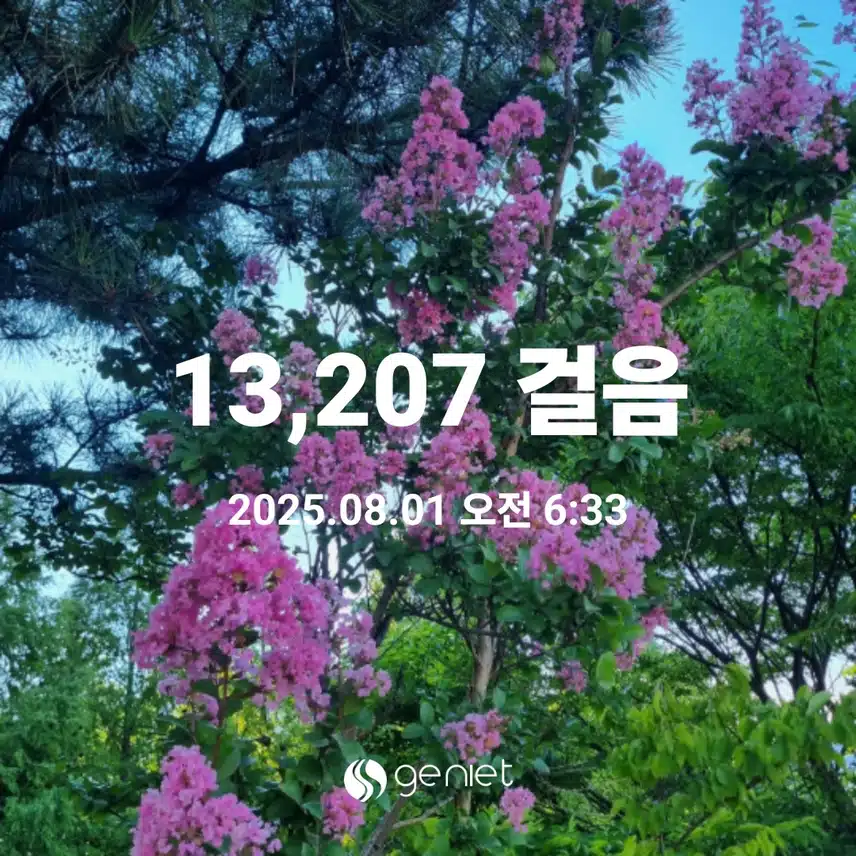   새로운 마음으로 8월첫날새벽 운동