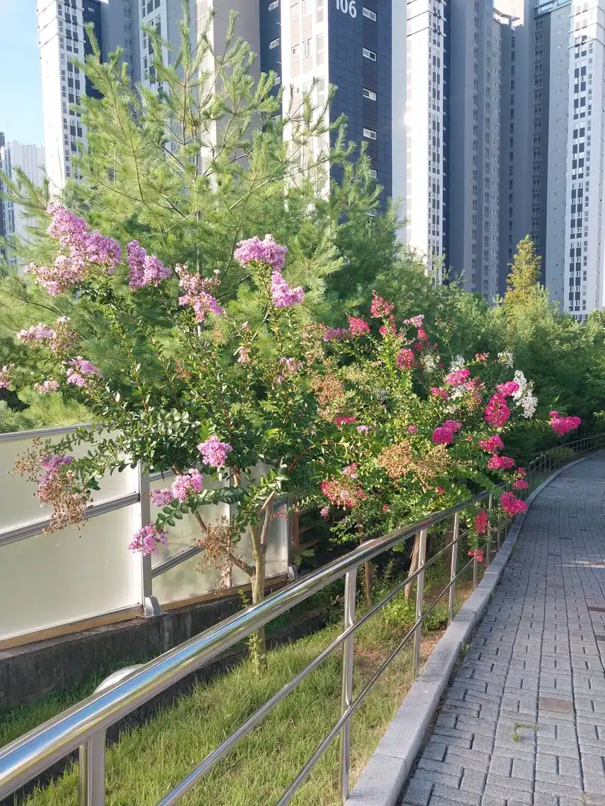 즐겁게 운동하며 자연을 즐겨요