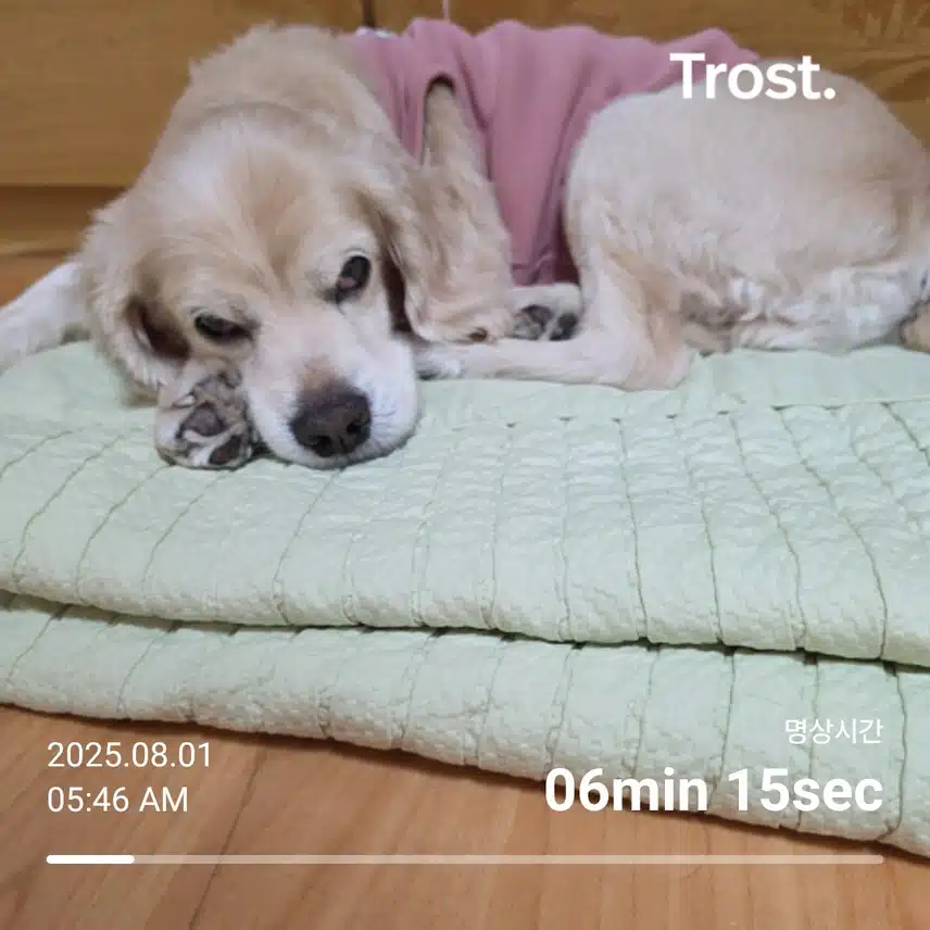 금요일 아침 