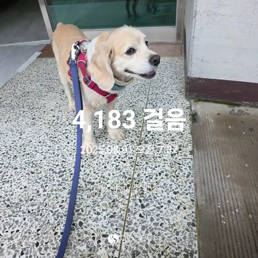 금요일 아침 