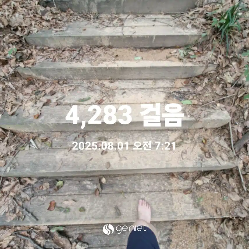 오랫만에 산책갔다 기절하는줄요..ㅜㅜ