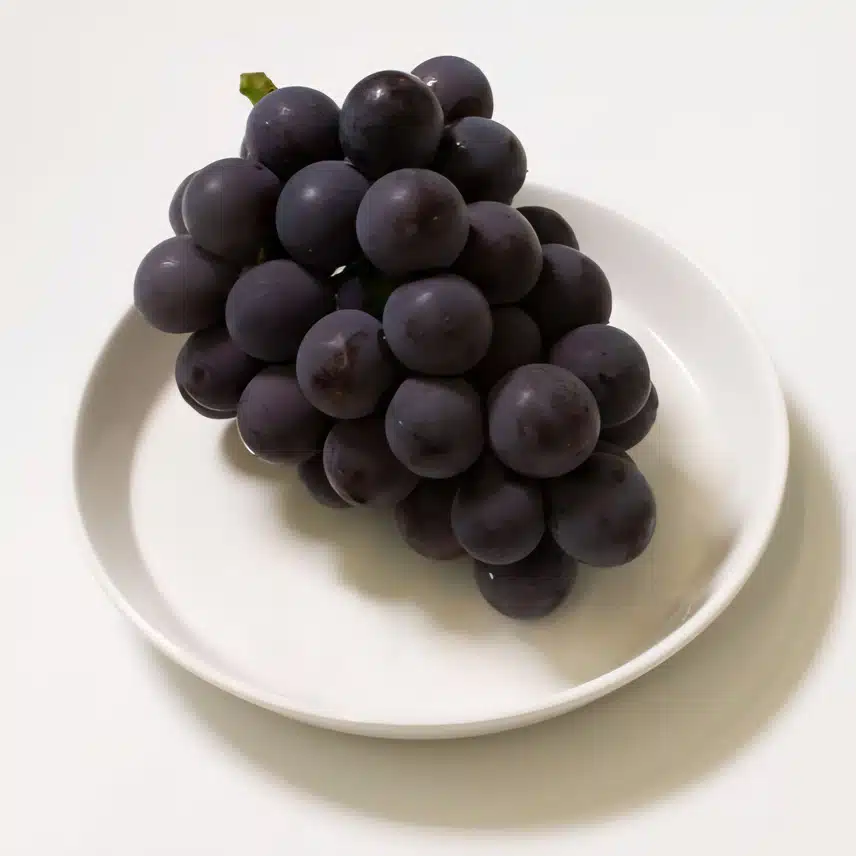 달달한 포도 🍇 