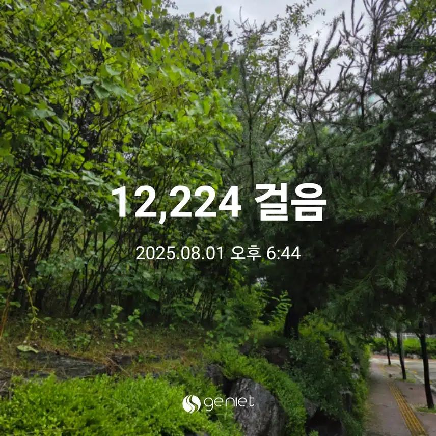 만이천보 운동 했어요 