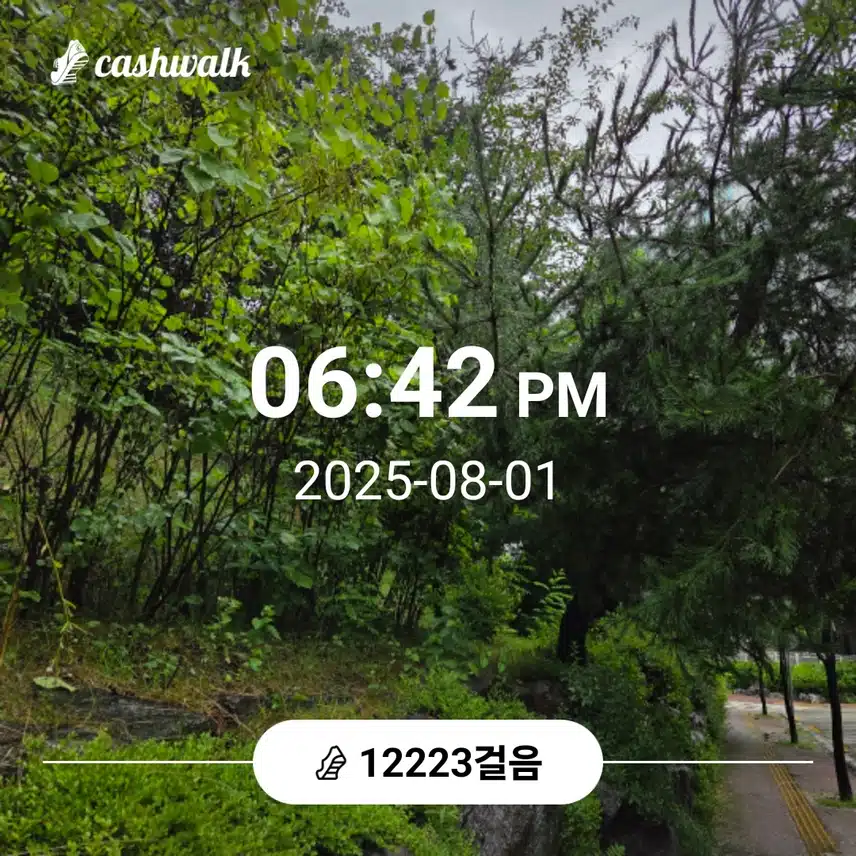 만이천보 운동 했어요 