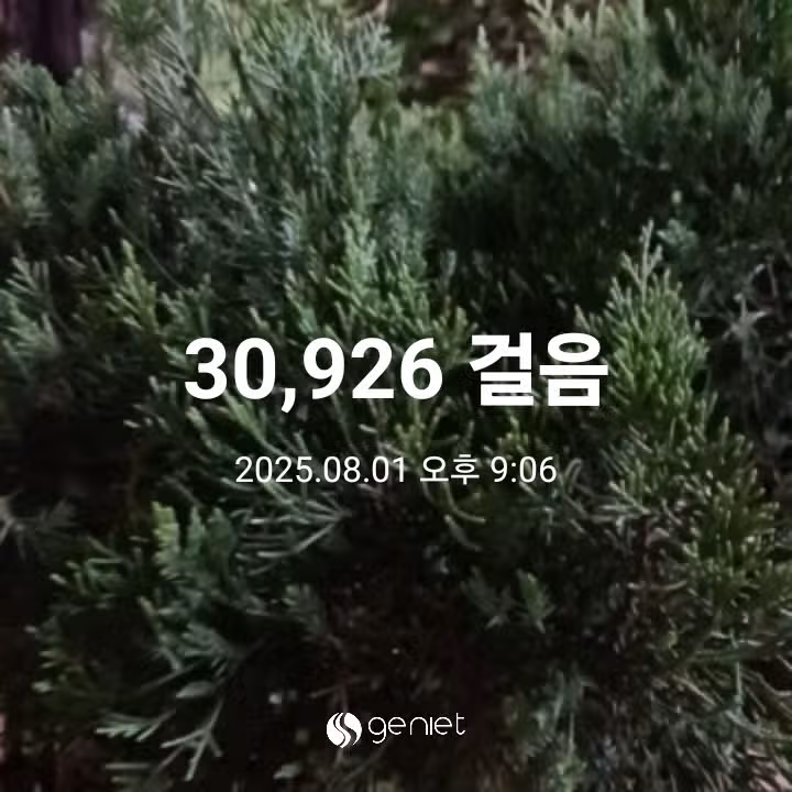 삼만보 걷기 