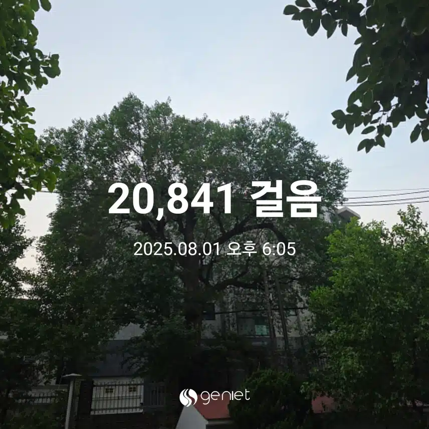 금요일 마무리 