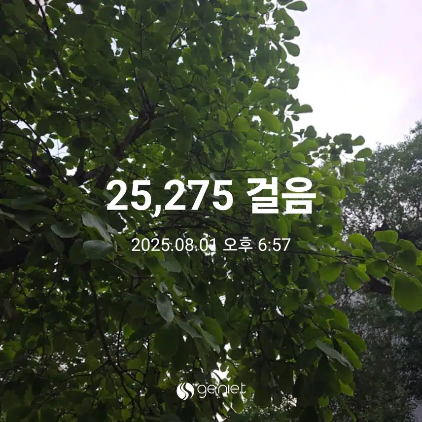 금요일 마무리 