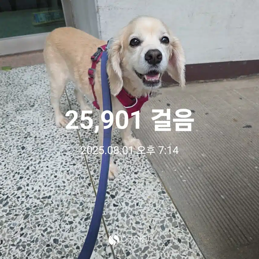 금요일 마무리 