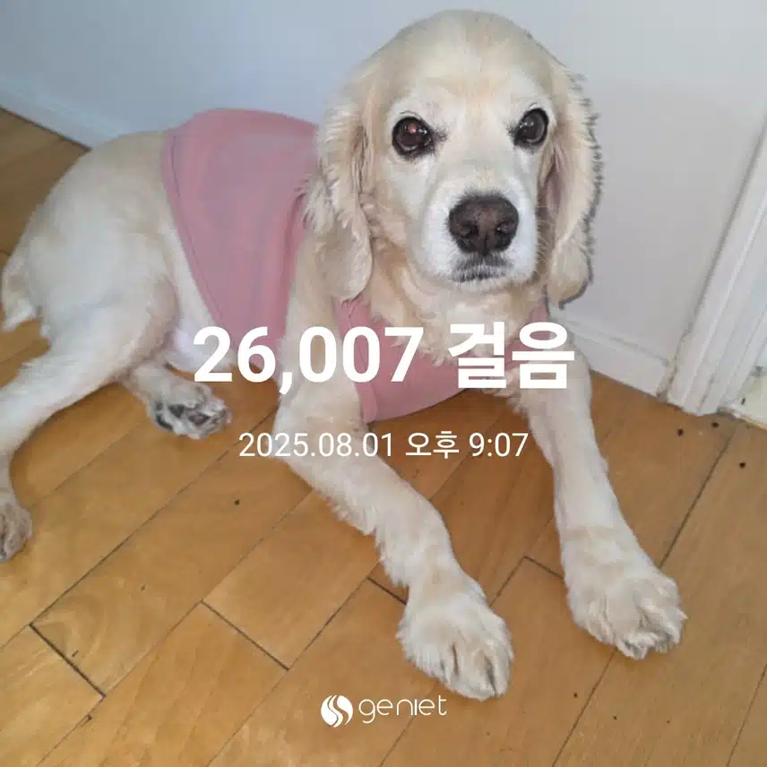 금요일 마무리 