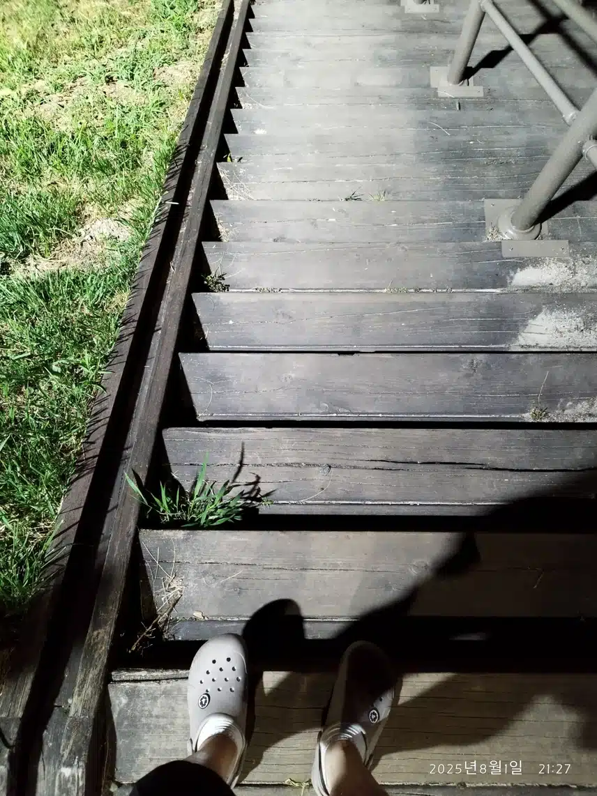 8.1 저녁산책